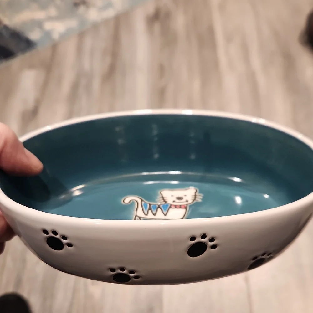 EUC Pet Rageous Design Meow Cat Food Dish No Chips